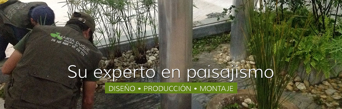 Su experto en paisajismo. Diseño, Producción y Montaje